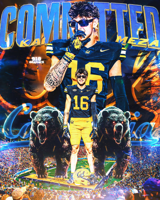 Detailed Commitment Edit