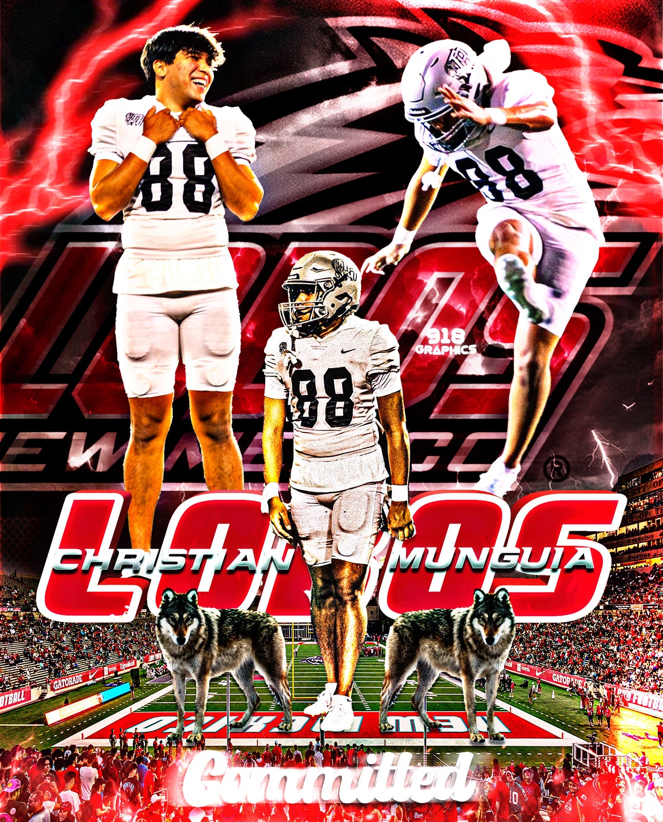 Fully Customized Commitment Edit